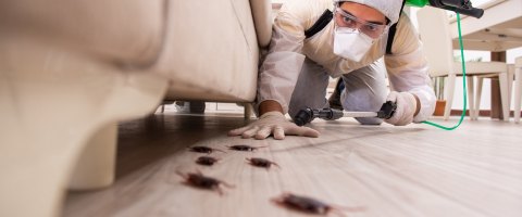 DIỆT CÔN TRÙNG KHÁC