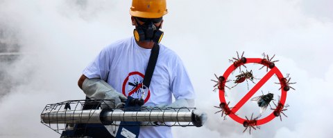 DIỆT RUỒI MUỖI KIẾN